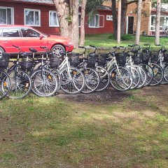 The largest bike rental of the island at the Kihnu harbour