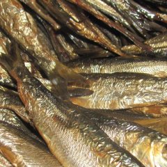 Kohalik amps – freshly smoked fish from a local fisherman in Kihnu